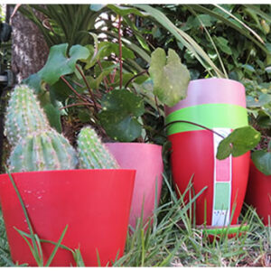 biodegradable ecopot 5” - 100 unidades